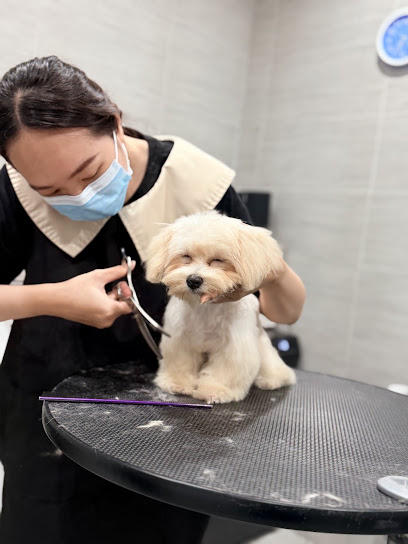 One Grooming
