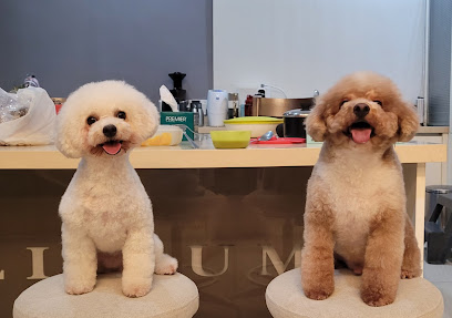 House of Paws (HOPS Mobile Grooming Office Only)