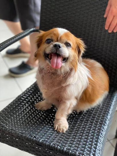 Petbombom Grooming Service