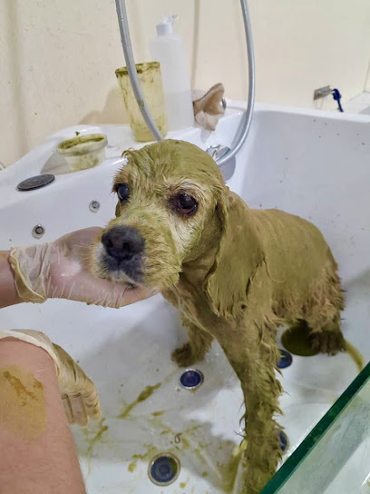 Letoro Grooming | Happy Garden