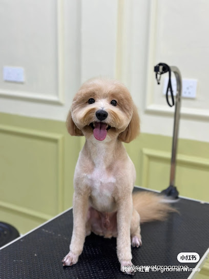 Scissor Pet Grooming @ PJ Old Town