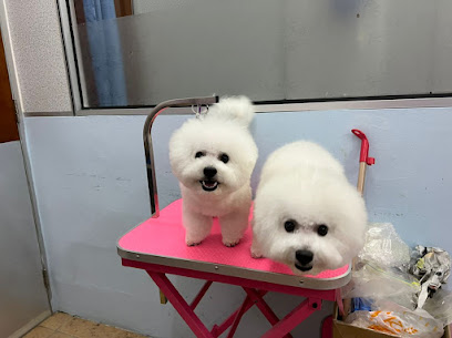 Furkids Grooming Studio