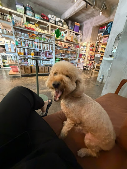 FURRY PAWS SUBANG (Pet shop , Grooming & Boarding)