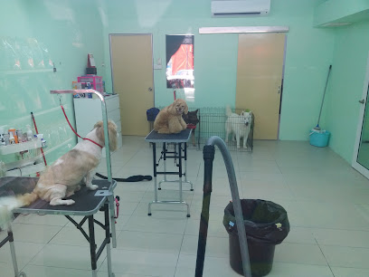 Grom DD Pet shop