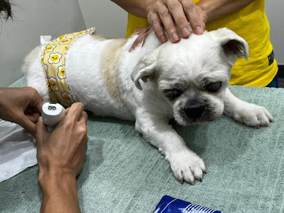 FWVC Furkids Wellness Veterinary Centre