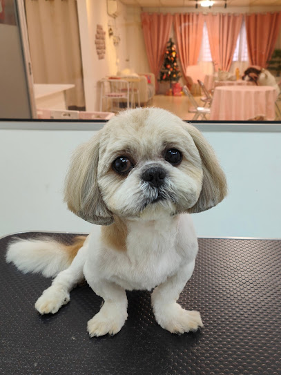 QIU QIU PET GROOMING SPA