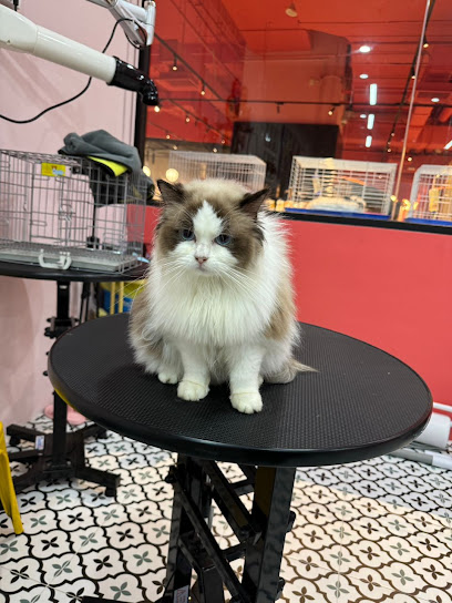 Just Groom @ Just Pets Megastore (Kota Damansara)
