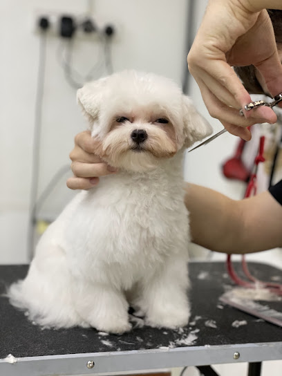 Letoro Grooming • Bandar Puteri Puchong