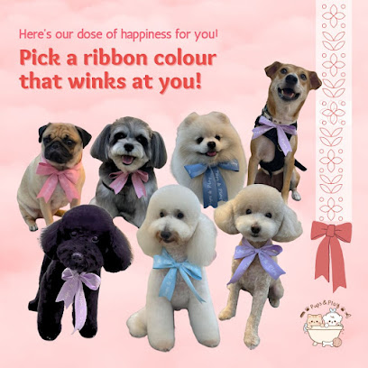 Pups & Play - Damansara Jaya, PJ