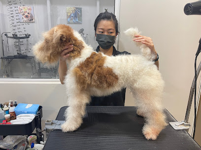 Oh My Dog Pets Salon