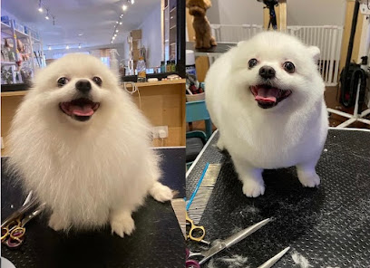 ahZu Pet Studio