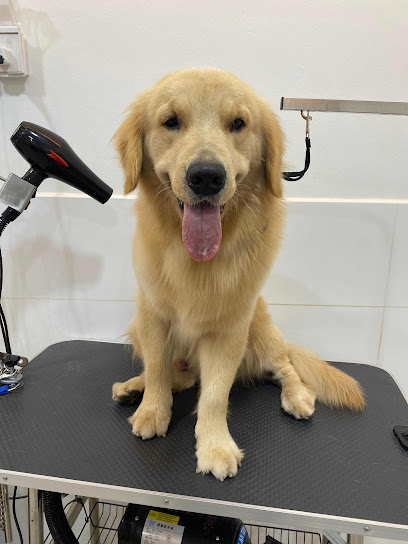 Petico.my Pet Shop & Grooming | Kuchai Lama