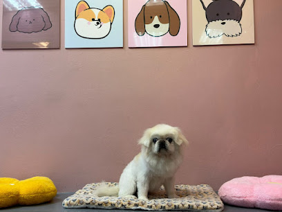 Pet Meet 缘宠