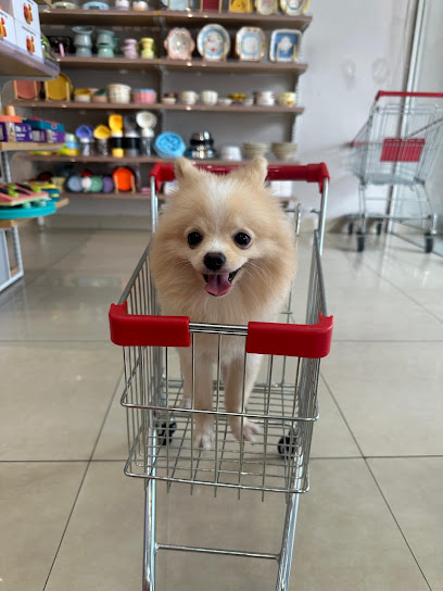 Furever Grooming Studio