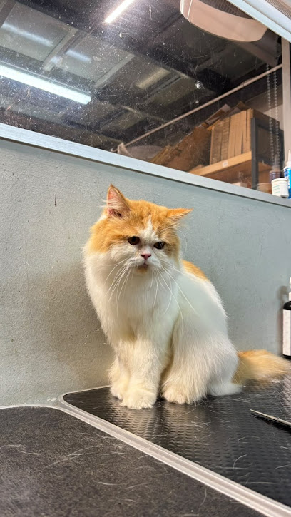 Rakan Paw Pet Supplies - Damansara Damai