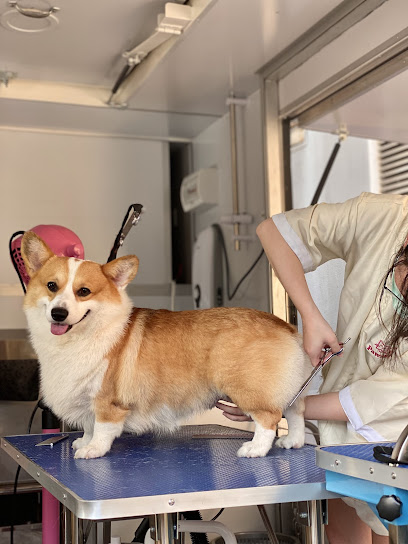 Pawshood