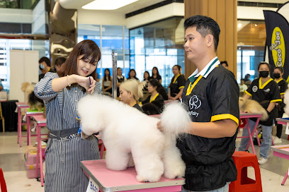 Doggy Doge Grooming & Training Academy