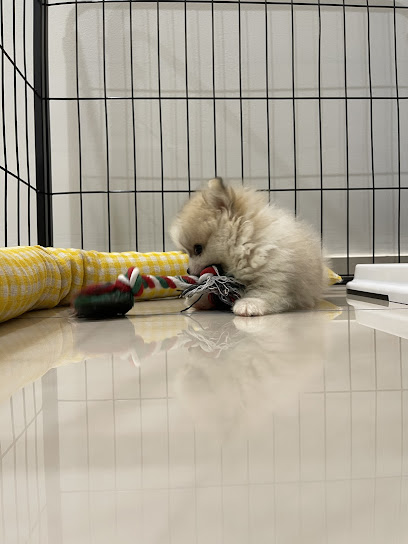 Paws & Play Pet Shop (PJ Seapark)