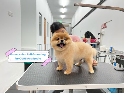 OURS PET STUDIO - Sg Besi Pet Shop , Pet Grooming , Pet Boarding Service