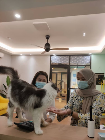 Pawradise Cat Hotel & Grooming