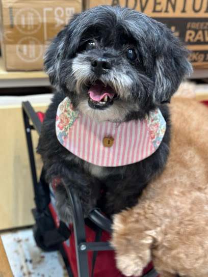 Dogster Groom Pet Salon