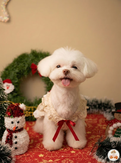 Super iDog Grooming