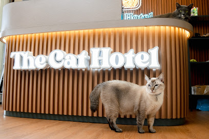 The Cat Hotel PJ