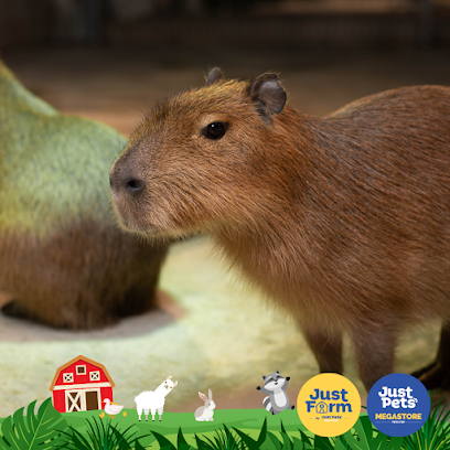 Just Pets Megastore @ IOI Mall Damansara