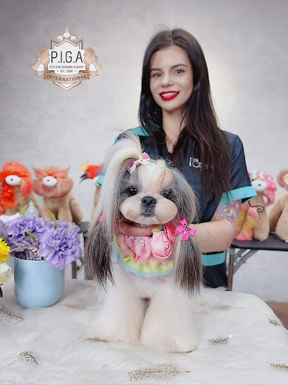 Pets Icon International Grooming Academy (PIGA)
