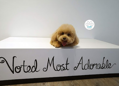 Pets Grooming Hotel - PGH