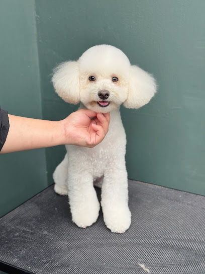 Posh Paws Pet Lifestyle Store