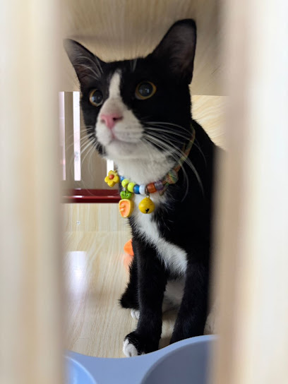 Pawprint Paradise Cat Hotel & Spa Petaling Jaya
