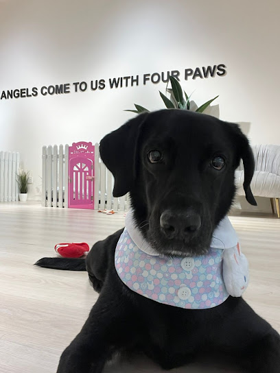 Pups & Play Desa ParkCity