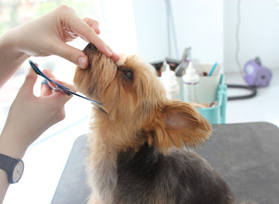 Bowhouse Pet Salon